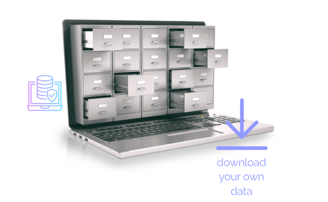 visual data control copy
