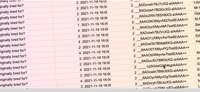 DataExport