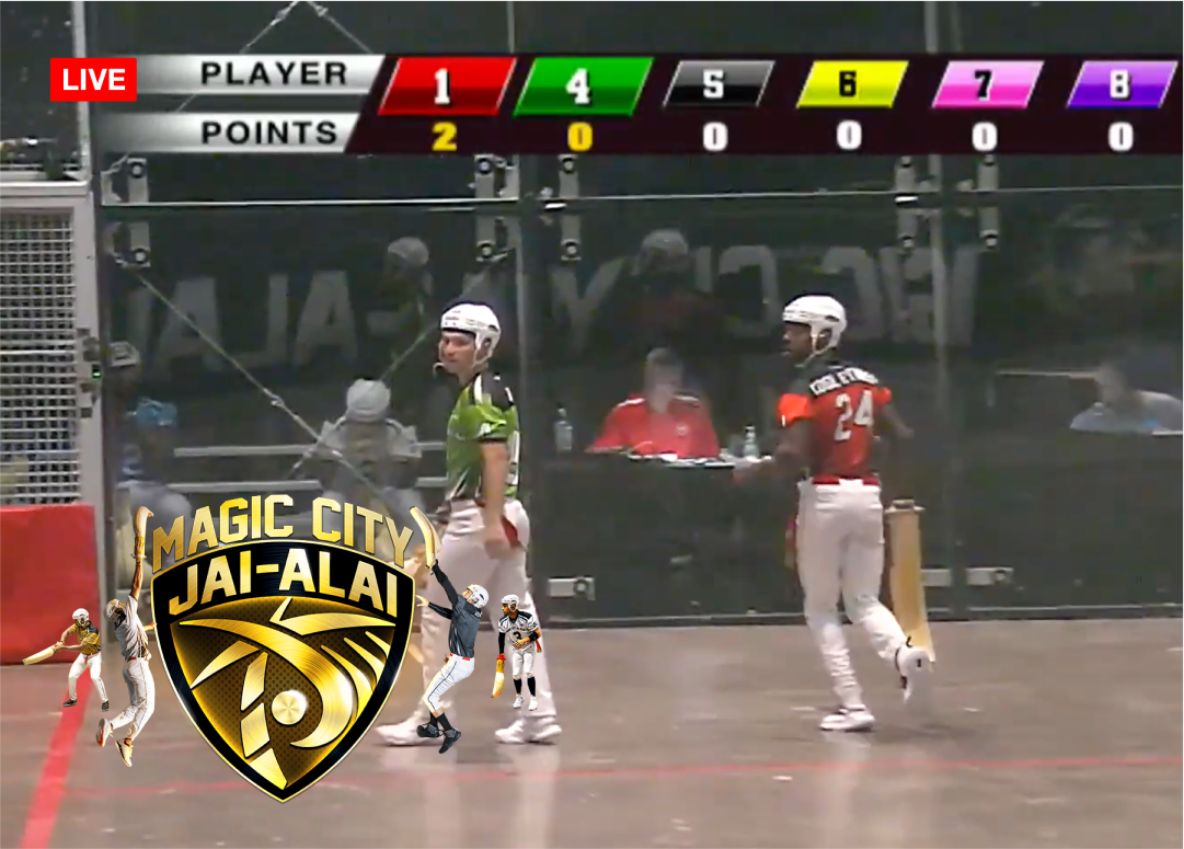 CaseVisualSport 2x 1