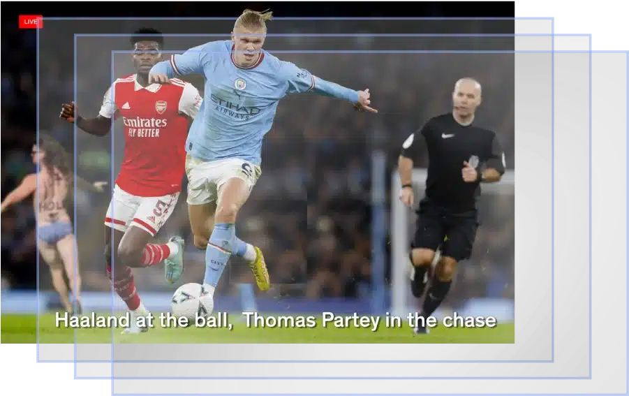 subtitle example